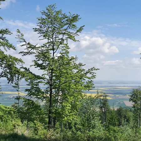 Chatka Na Skraju Lasu *