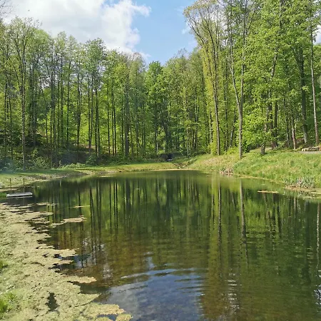 Chatka Na Skraju Lasu Vakantiehuis Javorník