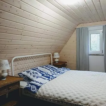 Chatka Na Skraju Lasu Javorník